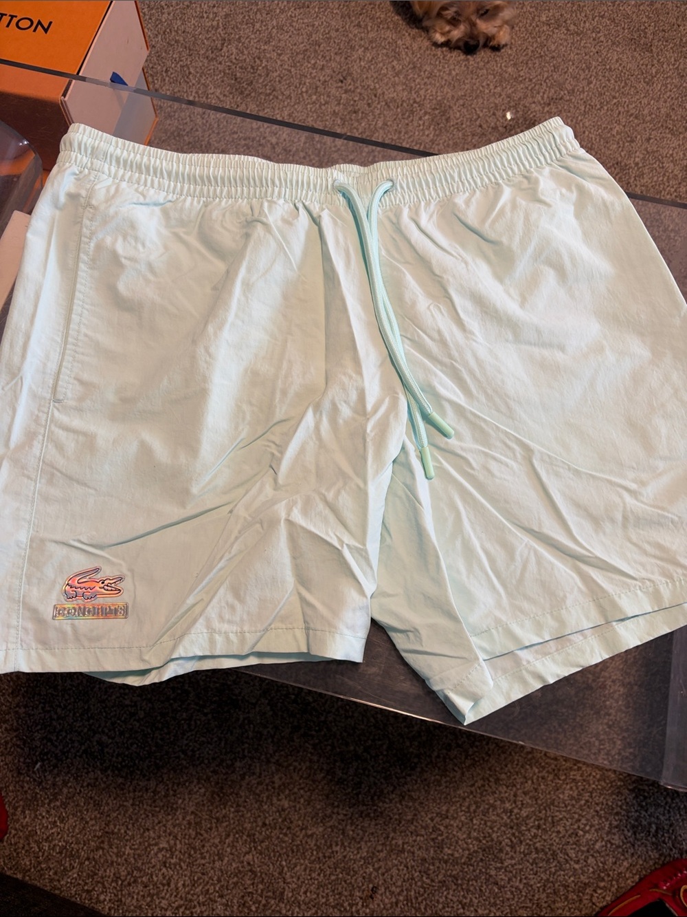 Lacoste Mint Green Swim Shorts with Logo Patch